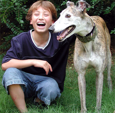 sighthound adoption